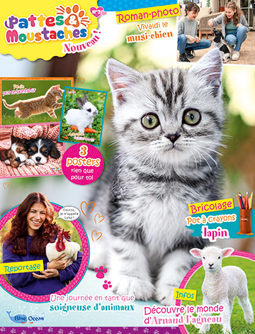 Pattes et Moustaches